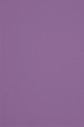 Пододеяльник евромакси (217х240 см) поплин "Аристократ - 20" (фиолетовый) (однотонный)