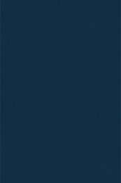 Наволочка 40X60 см поплин "Аристократ - 11" (синий) (однотонный)