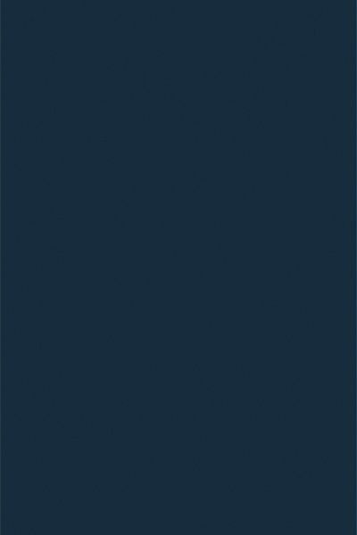 Комплект наволочек 2 шт. 70х70 поплин "Аристократ - 2" (темно-синий) (однотонный)