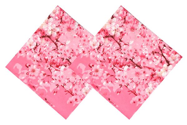 Комплект наволочек 2 шт. 70х70  поплин "Сакура" (розовый)