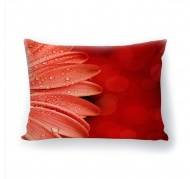 Подушка декоративная с 3D рисунком "Красное свечение"