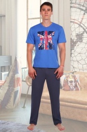 Костюм мужской модель Британец брюки