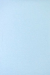 Пододеяльник евромакси (217х240 см) поплин / голубой