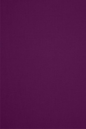 Комплект наволочек 2 шт. 70х70 поплин "Аристократ - 14" (темно-фиолетовый) (однотонный)