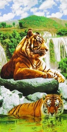 Полотенце вафельное пляжное 77х150 см "Тигры"