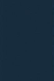 Пододеяльник 1,5 сп поплин "Аристократ - 2" (темно-синий) (однотонный)
