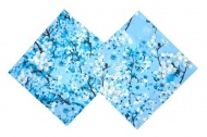 Комплект наволочек 2 шт. 70х70  поплин "Сакура" (голубой цвет)