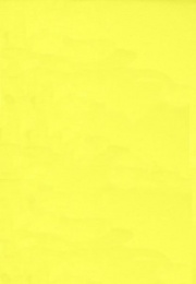 Пододеяльник евромакси (217х240 см) поплин / лимон (однотонный)